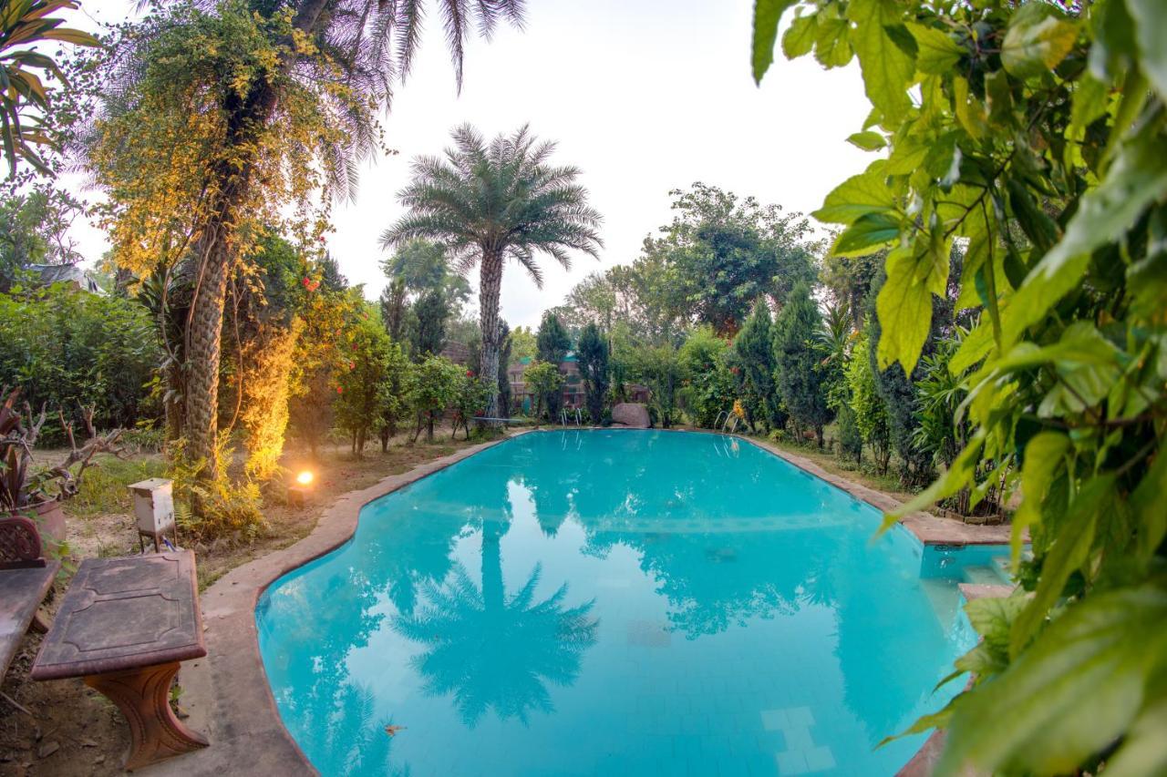 Hostie Chinar Haveli - Heritage Home With Pool, Gurgaon Exterior foto