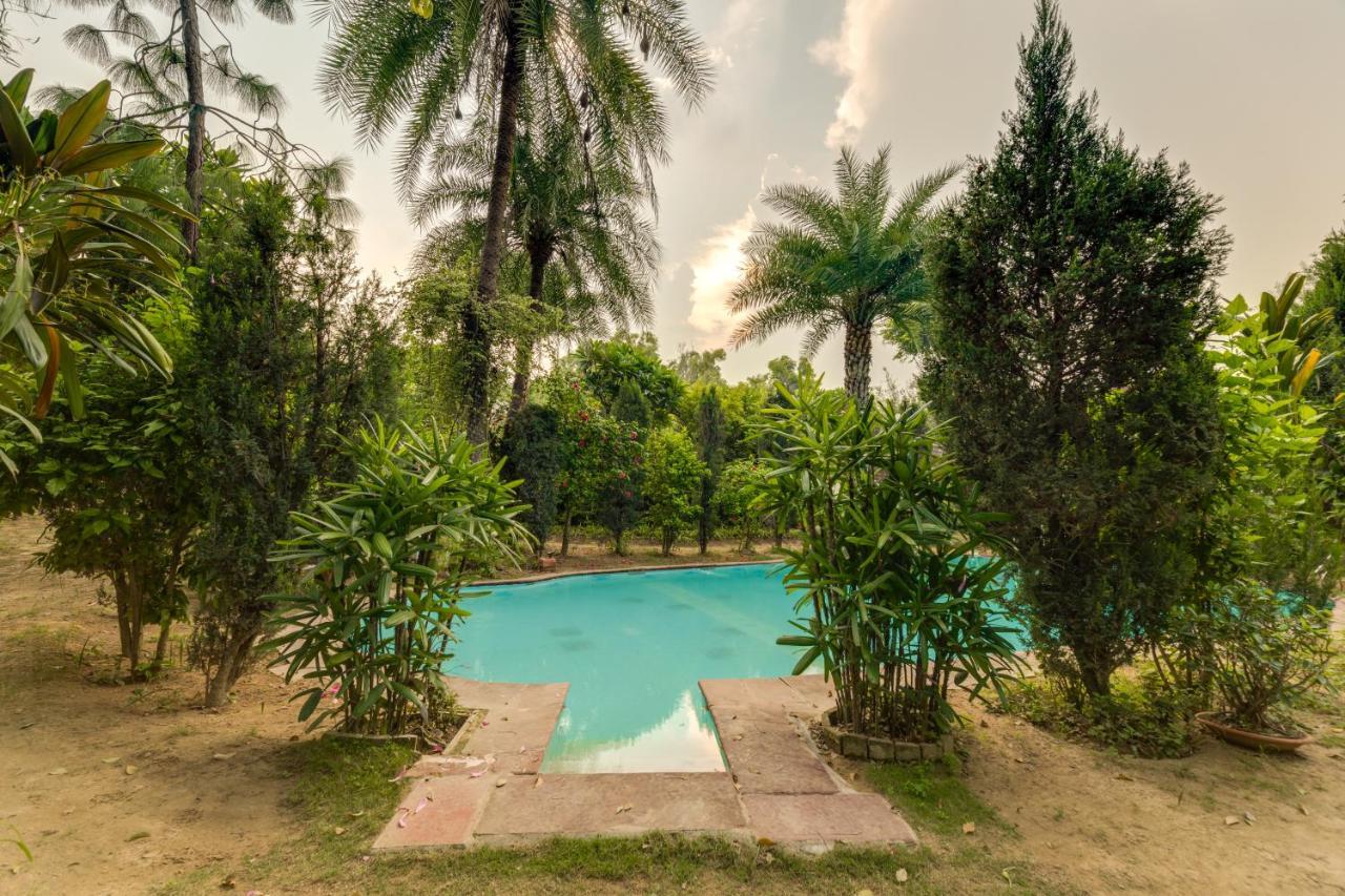Hostie Chinar Haveli - Heritage Home With Pool, Gurgaon Exterior foto